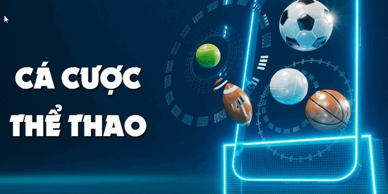 Thể thao là sân chơi được nhiều người yêu thích và lựa chọn